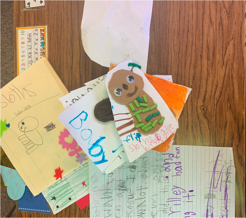 Student work from a second grade Exhibition of Learning.