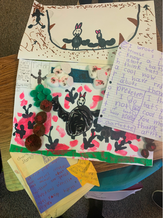 Student work from a second grade Exhibition of Learning.