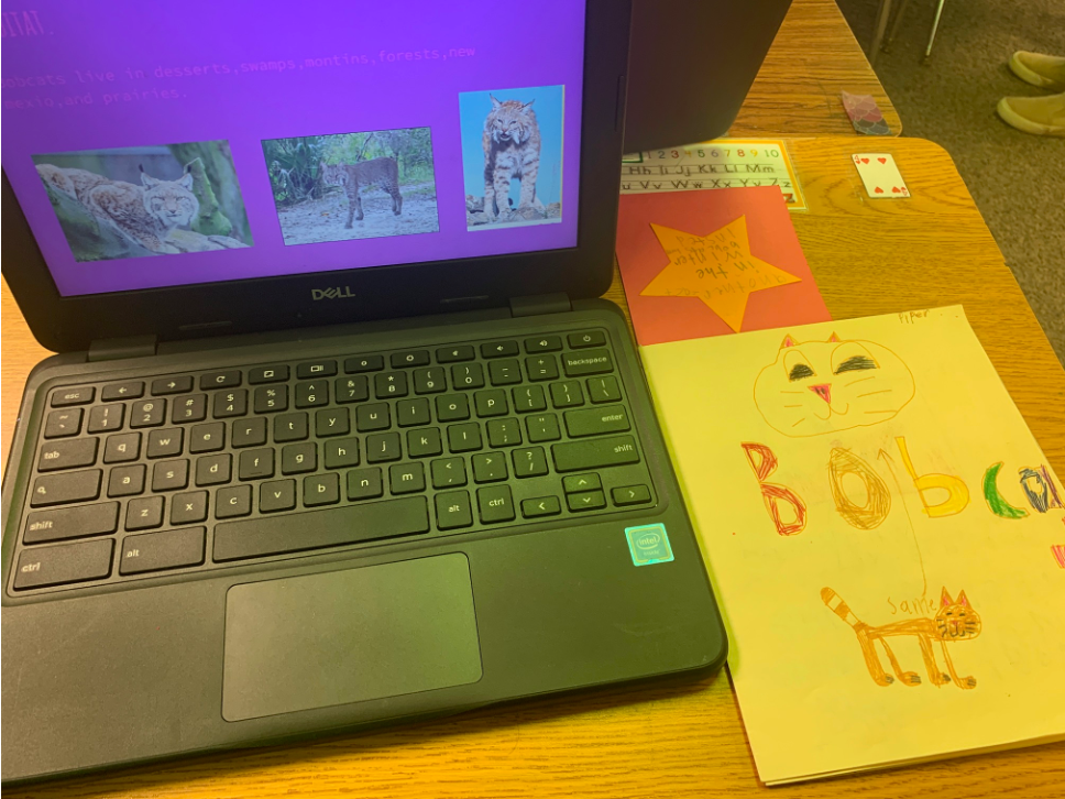 Student work from a second grade Exhibition of Learning.