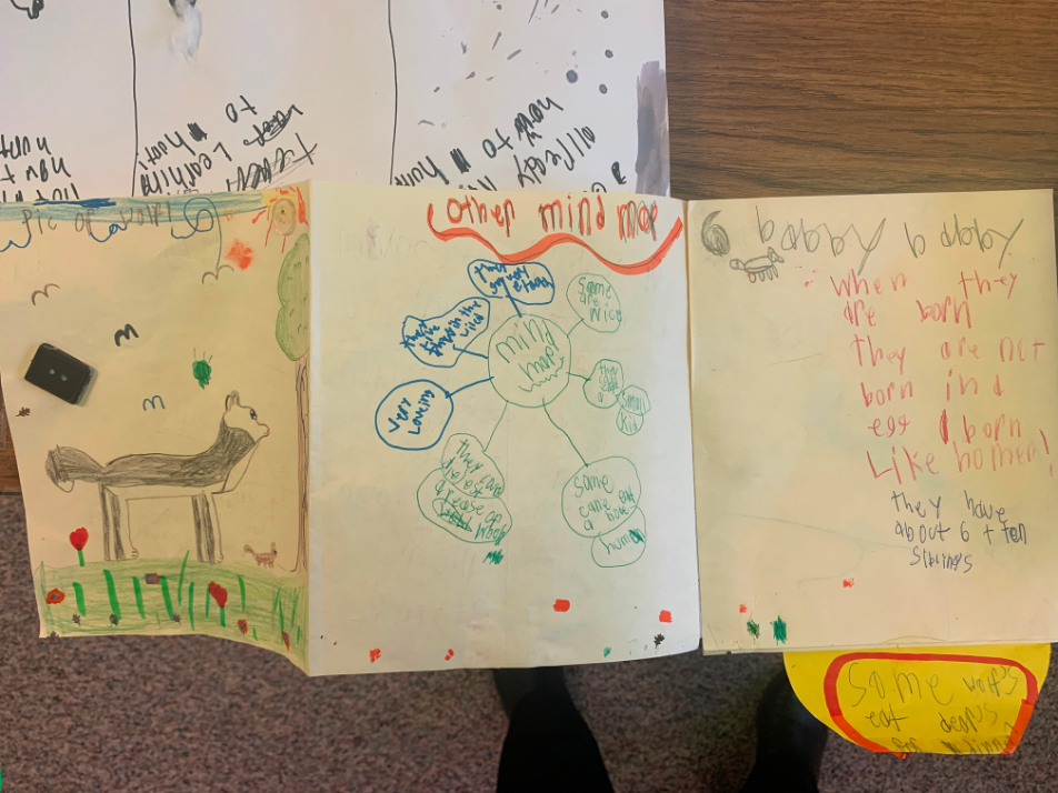 An example of a student’s creative research journal using mind-maps as a visual organization tool.