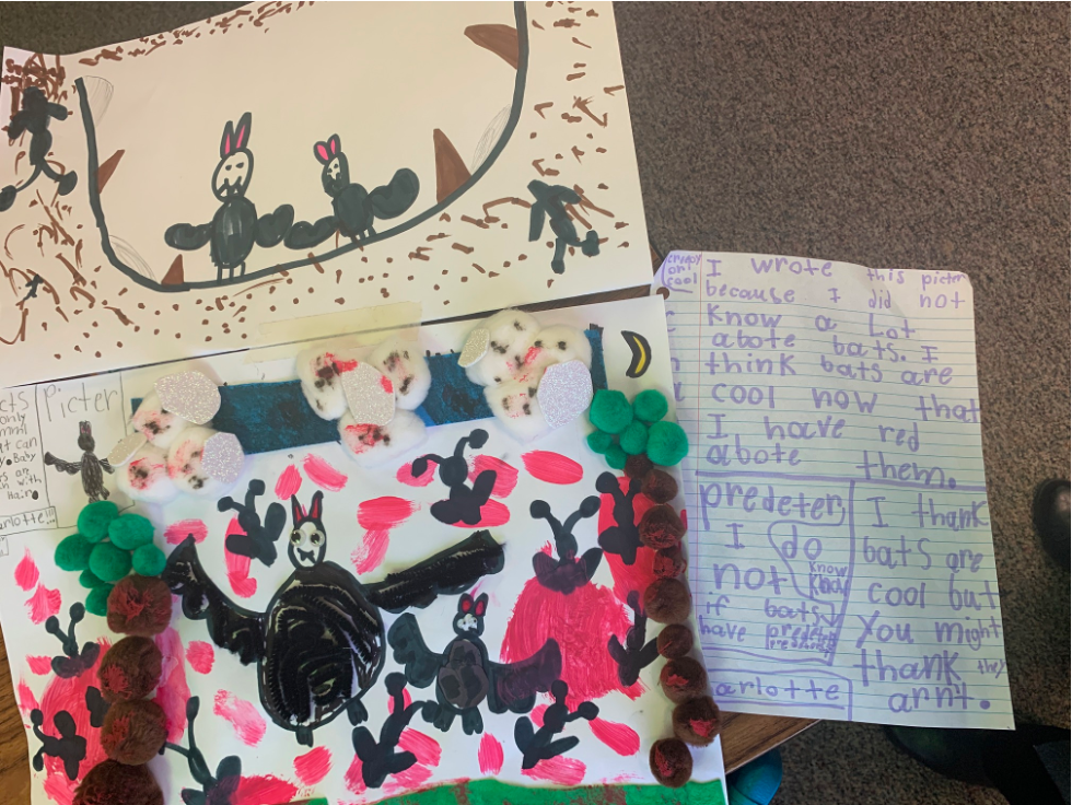Student work from a second grade Exhibition of Learning.