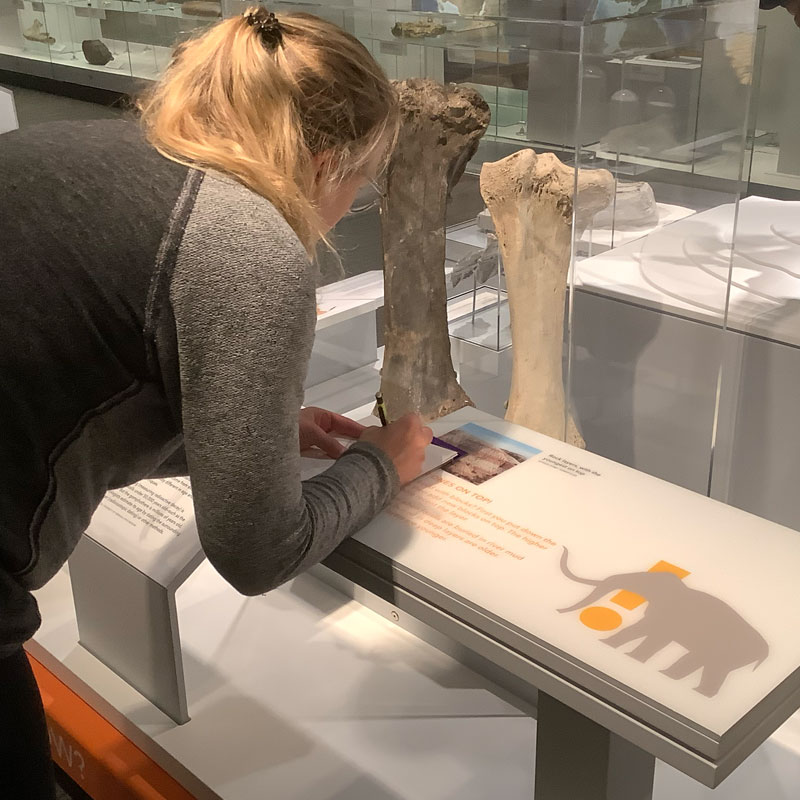 Art TEAMs Teacher at Museum