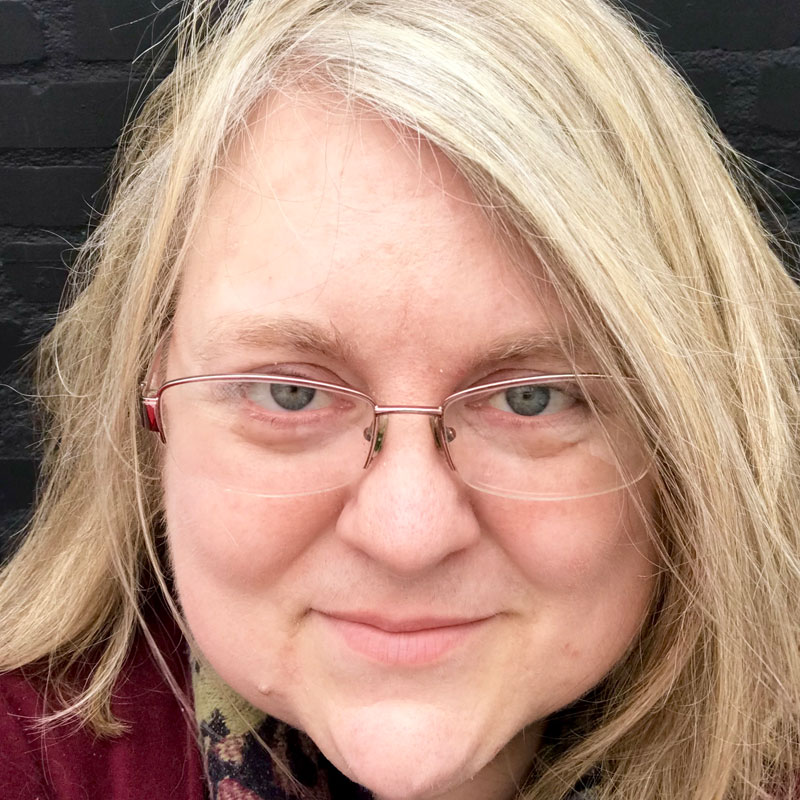 Laura Huntimer has worked in the museum education field for 20 years progressing from volunteer to her current role as director of school programs and interactive media.